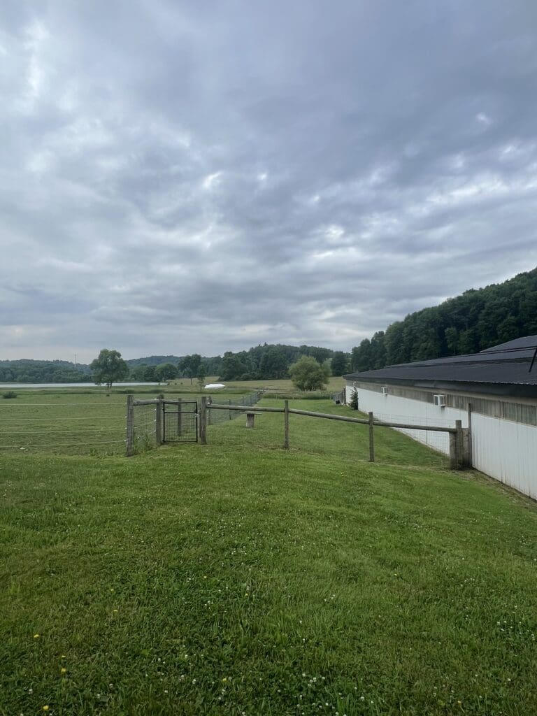 MIlligan Valley K9 Academy | Ohio Dog training in Minerva